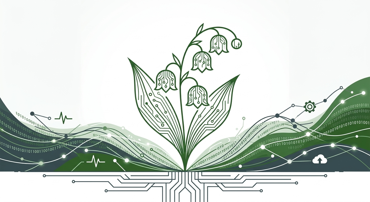 The Lily of the Software Valley cover